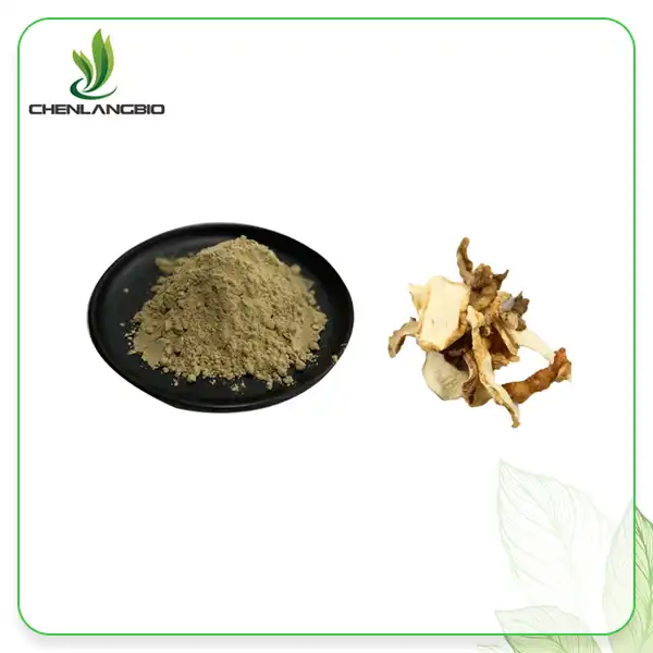 Polygonatum Extract Powder